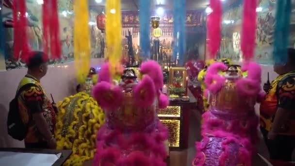 Dança do leão na frente de divindades no templo — Vídeo de Stock