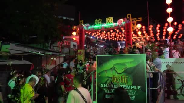 Serpiente templo chino año nuevo decoración por la noche . — Vídeos de Stock