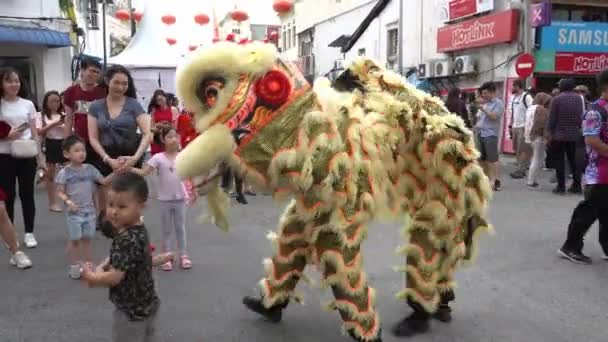 Kinderen hebben plezier raken de Chinese leeuw dans op straat. — Stockvideo