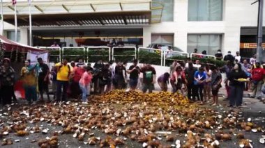 Gimbal mermileri Thaipusam 'da yerde hindistan cevizi ezer..