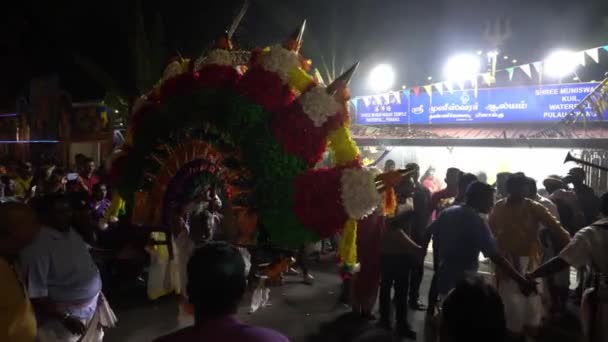 Hindu devotees carry heavy colorful kavadi at shoulder dance — Stock Video