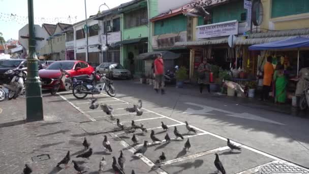 Galambok repülnek a parkolóban a Kis India közelében — Stock videók