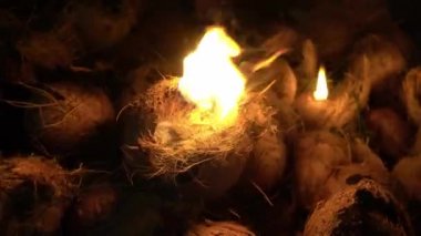 Ateşli hindistan cevizli bir fotoğraf..