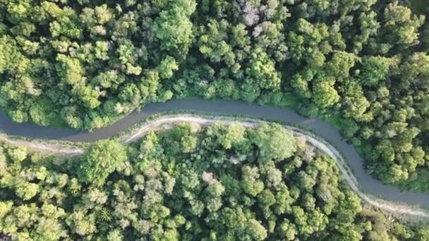 Uitzicht Vanuit Lucht Groene Bomen Aan Een Riviertje — Stockvideo