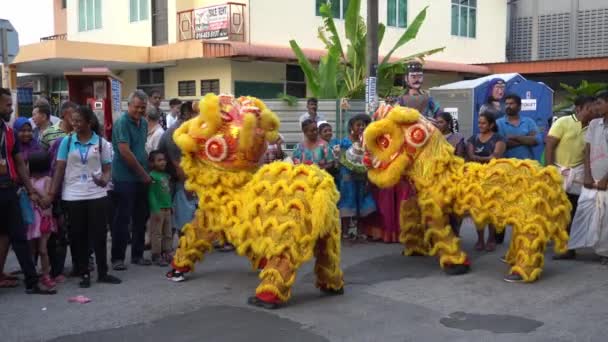 León danza realizar en la calle. — Vídeos de Stock