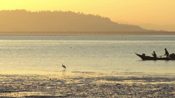 Pescador remar el barco de madera en la costa. Un pájaro garceta busca comida en la costa — Vídeos de Stock