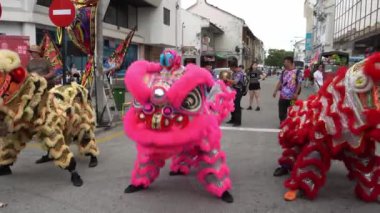 Sokakta 5 aslan dansı gösterisi.