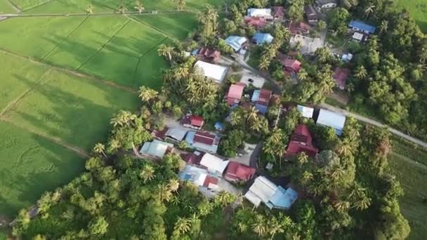 Schöner Baumschatten Über Malaiischem Dorf Morgen — Stockvideo