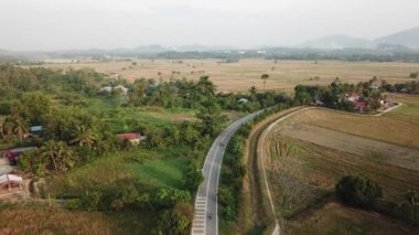 Kampung Terus 'taki Malays Kampung' da hava manzaralı bir yol. Hasat edildikten sonra çeltik tarlası görünümü.