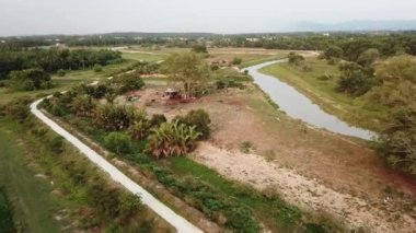 Akbalıkçıl kuşları kırsal alanda uçar..