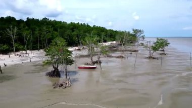 Kıyıya yakın bir yerde bir tekne yüzüyor. Su kahverengi ve bulanık. Ağaçlar suda yetişiyor. Hava manzaralı Pantai Perpat, Batu Pahat