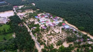 Ev ve palmiye ağaçlarıyla dolu sel basmış bir bölge. Su kahverengi ve bulanık. Junjung, Kedah, hava manzaralı sel baskını