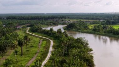 Yanı başında akan bir yol olan nehir. Yol palmiye ağaçlarıyla kaplı. Nehir kahverengi ve o sakin.