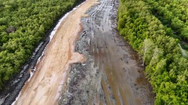 Arka planda bir sürü ağaç olan çamurlu bir yol. Yol çamurlu ve bir sürü lastik izi var.