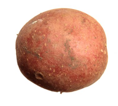 Beyaz arka plan üzerinde izole patates yumru