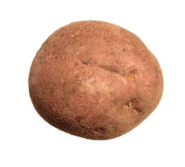 Potatis tuber isolerad på vit bakgrund — Stockfoto