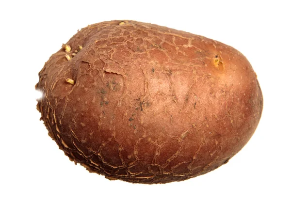 Bulwy ziemniaka na białym tle — Zdjęcie stockowe