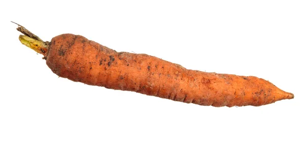 Свежая морковь хранится в подвале. Изолированный на белом фоне — стоковое фото