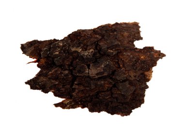 İzole edilmiş beyaz arka planda bir ağaç kabuğu parçası. Ahşap