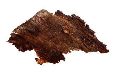 İzole edilmiş beyaz arka planda bir ağaç kabuğu parçası. Ahşap