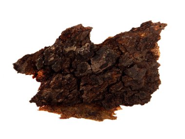 İzole edilmiş beyaz arka planda bir ağaç kabuğu parçası. Ahşap