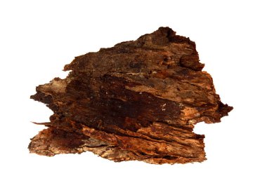 İzole edilmiş beyaz arka planda bir ağaç kabuğu parçası. Ahşap