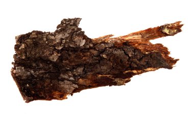 İzole edilmiş beyaz arka planda bir ağaç kabuğu parçası. Ahşap