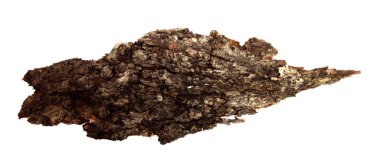 İzole edilmiş beyaz arka planda bir ağaç kabuğu parçası. Ahşap