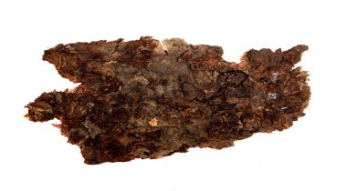 İzole edilmiş beyaz arka planda bir ağaç kabuğu parçası. Ahşap