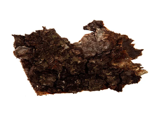 İzole edilmiş beyaz arka planda bir ağaç kabuğu parçası. Ahşap