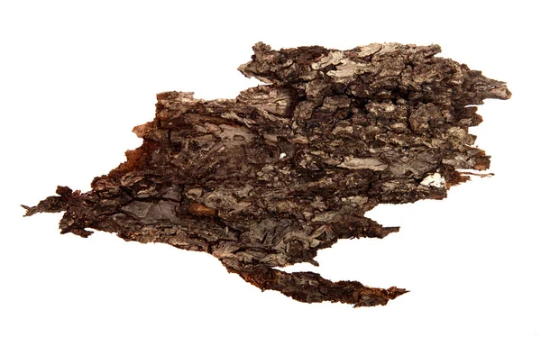 A piece of dry tree bark on an isolated white background. Wooden — Stock Photo, Image