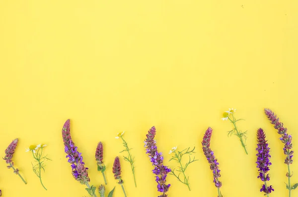 Salie Bloemcompositie Een Gele Achtergrond Voorjaarsachtergrond Met Paarse Bloemen Plat — Stockfoto