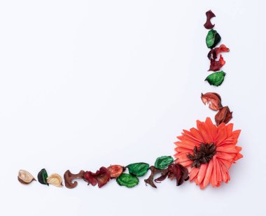 beyaz bir arka plan üzerinde aksesuarları ile çiçek