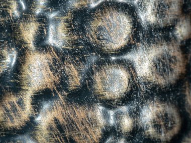 Yaprak yapı arka plan eski