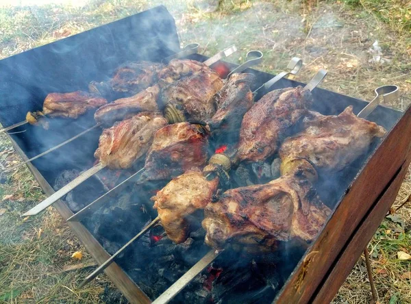 美味的鸡肉在火刑 烧烤派对 — 图库照片