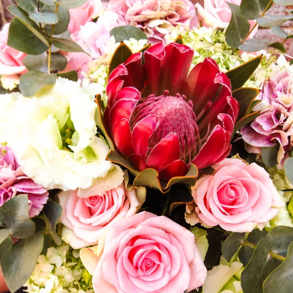  Yazarın buketi Çiçekçi yakın çekim. Protea, rose eustoma ve güzel okaliptüs ile egzotik buket
