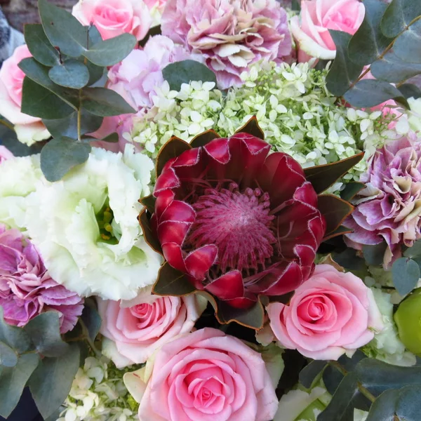 Güzel bir buket ile egzotik bir çiçek bir protea, nazik bir pembe Gül, hava ortanca, yakın çekim