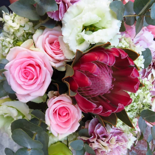 Buket pembe protea yakın çekim ile. Egzotik Çiçek - çiçekçi çalışmalarını bir güzel yaz buket