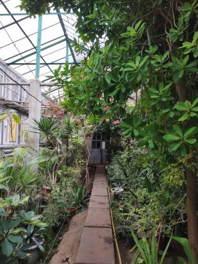 Botanik Bahçesi - bakım ağaçlar, bitkiler ve çiçekler için çalışır. Doğa ve bitki örtüsü saygı