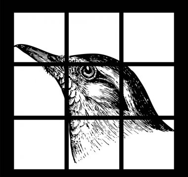 Detailed vector sketch of a bird close-up. Beautiful tattoo idea clipart