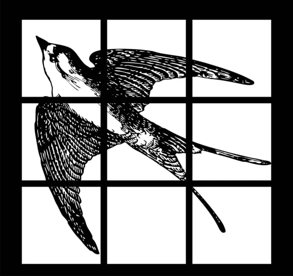 Detaillierte Skizze Einer Vogelschwalbe Nahaufnahme Flaches Vektordesign Skizze Tattoo Schlucken — Stockvektor