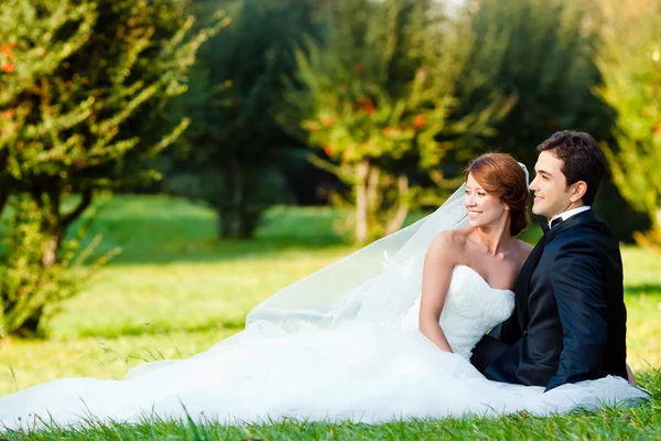 Lyckliga Bruden Och Brudgummen Park Deras Bröllopsdag — Stockfoto