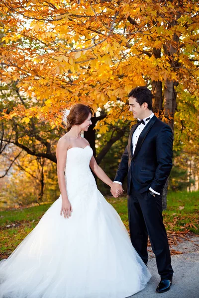幸福的新娘和新郎在结婚的那天在一个公园 — 图库照片
