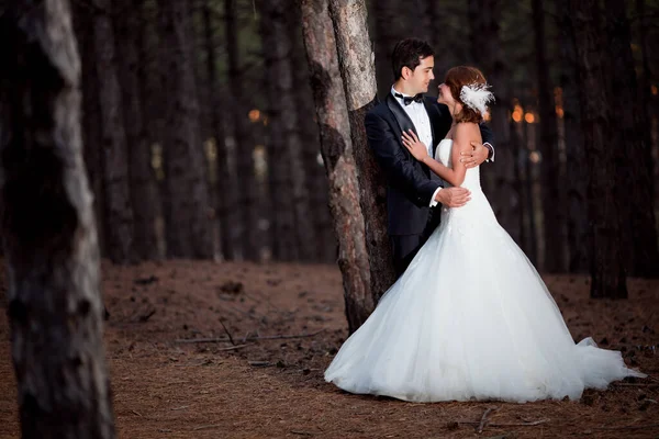 婚礼夫妇快乐在森林 — 图库照片