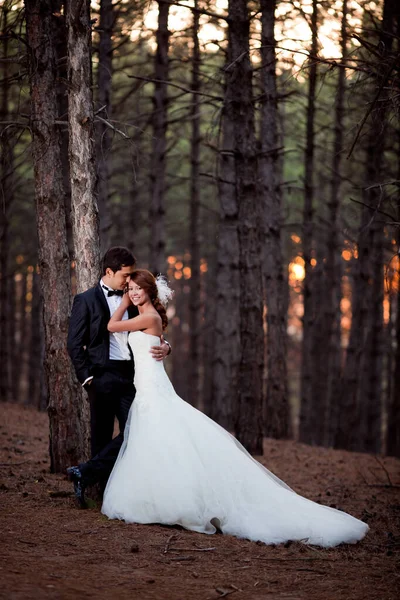 Esküvői Pár Boldog Együtt Erdőben — Stock Fotó