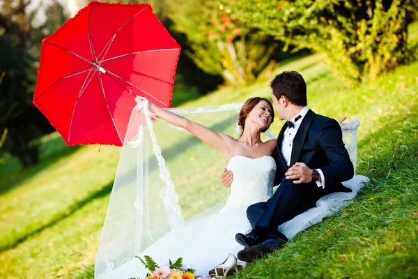 Noiva Feliz Noivo Parque Seu Dia Casamento — Fotografia de Stock