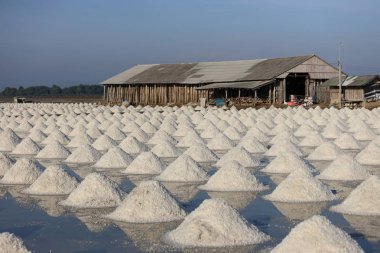 Tuz çiftliğinde deniz tuzu Ban Laem hasat için hazır, Phetchaburi Eyaleti, Tayland
