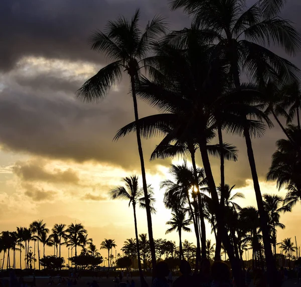 Hawaii Honolulu State United State — Stock Photo, Image