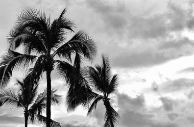 Honolulu Hawaii volkan devlet 