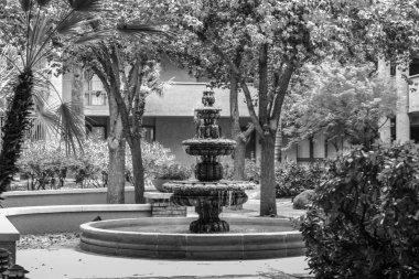 Bahçedeki şaşırtıcı merdiven